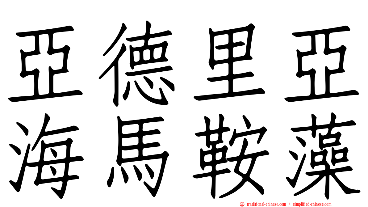 亞德里亞海馬鞍藻