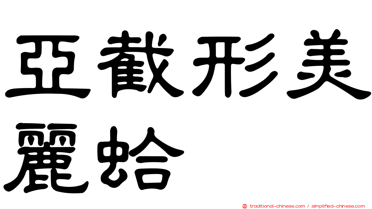 亞截形美麗蛤