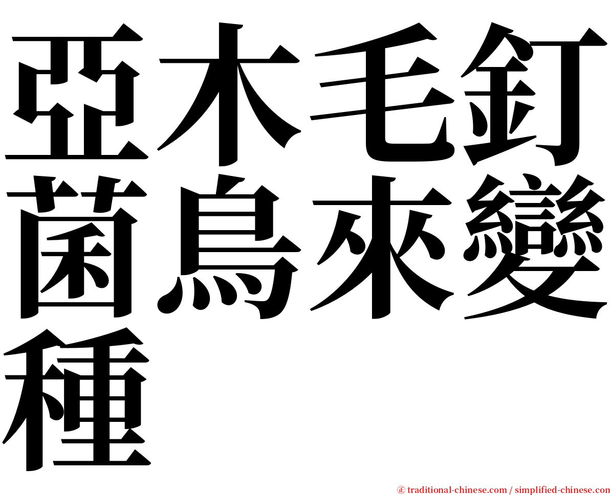 亞木毛釘菌鳥來變種 serif font