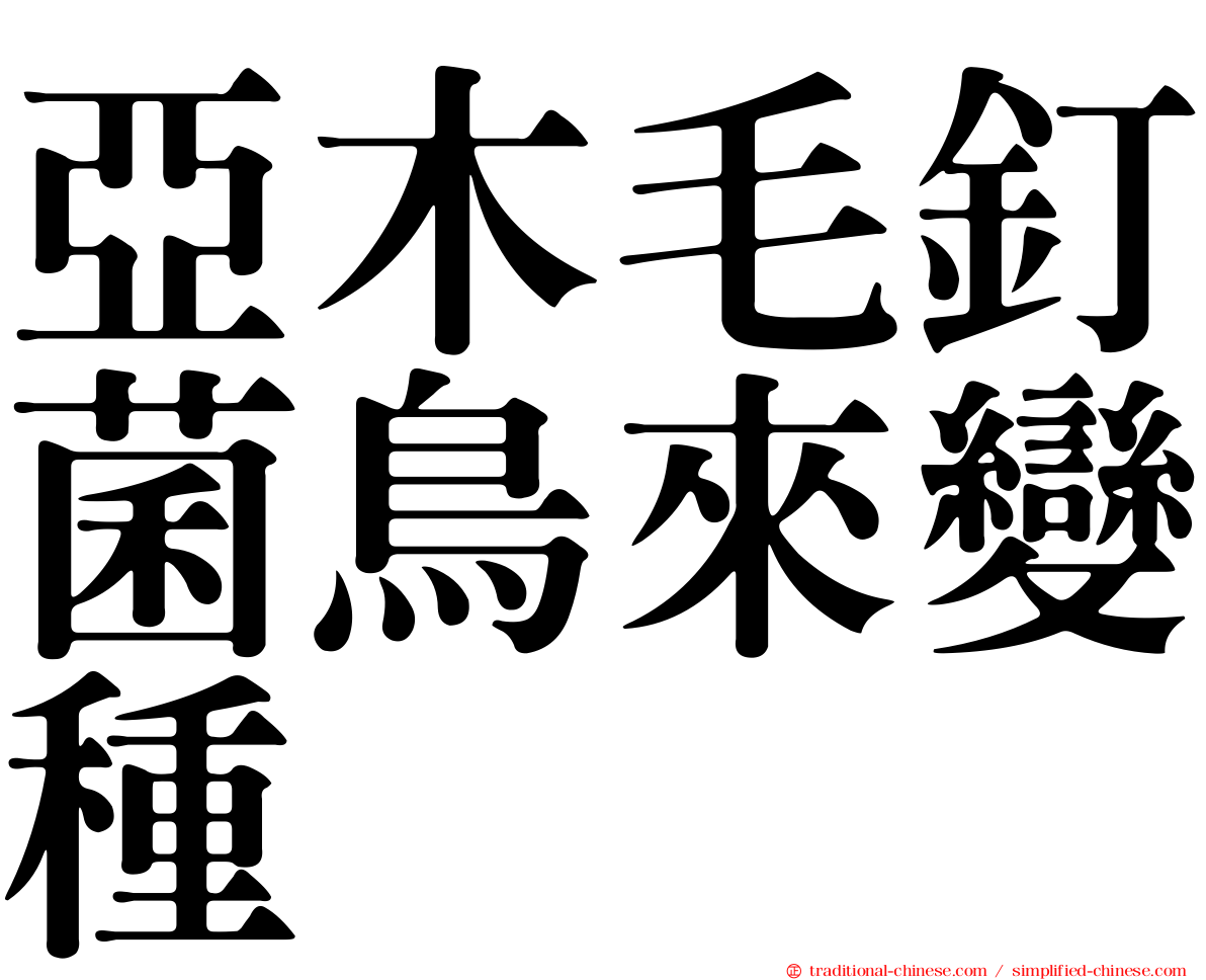 亞木毛釘菌鳥來變種