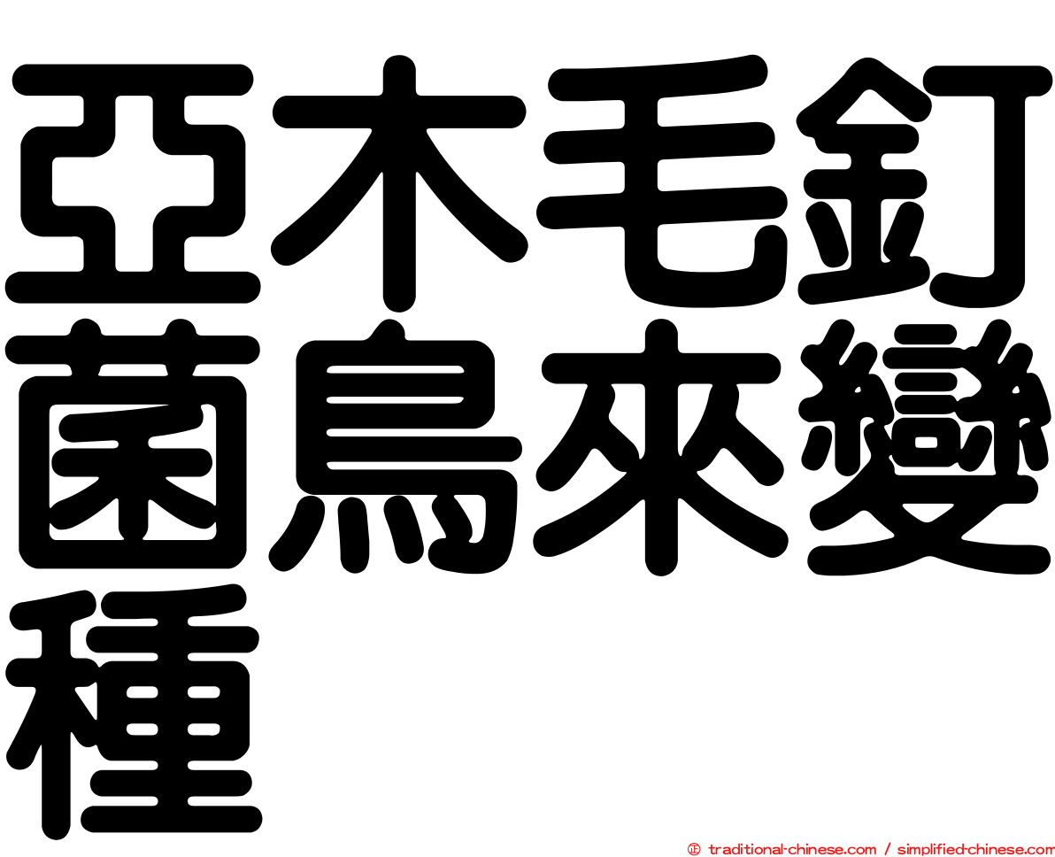 亞木毛釘菌鳥來變種