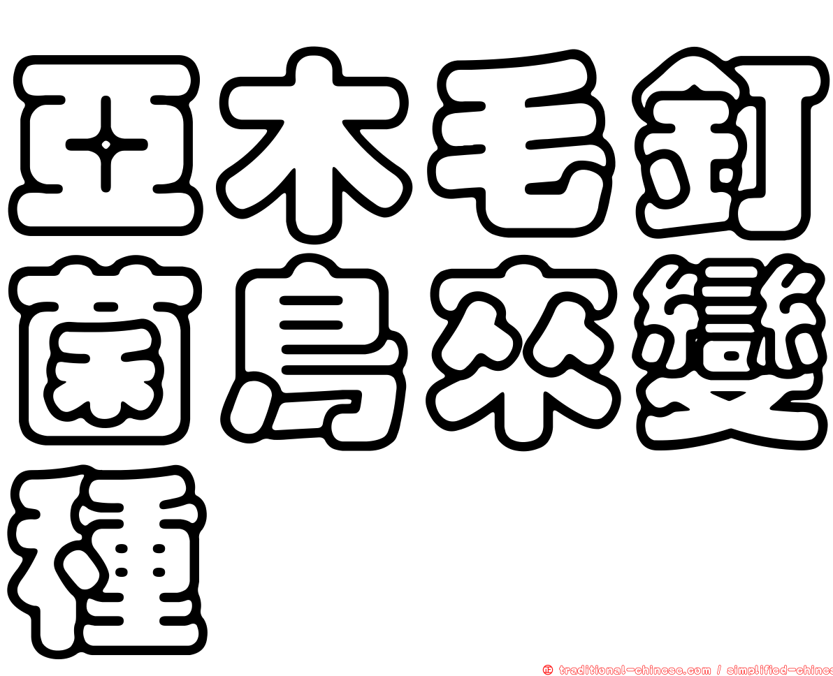 亞木毛釘菌鳥來變種