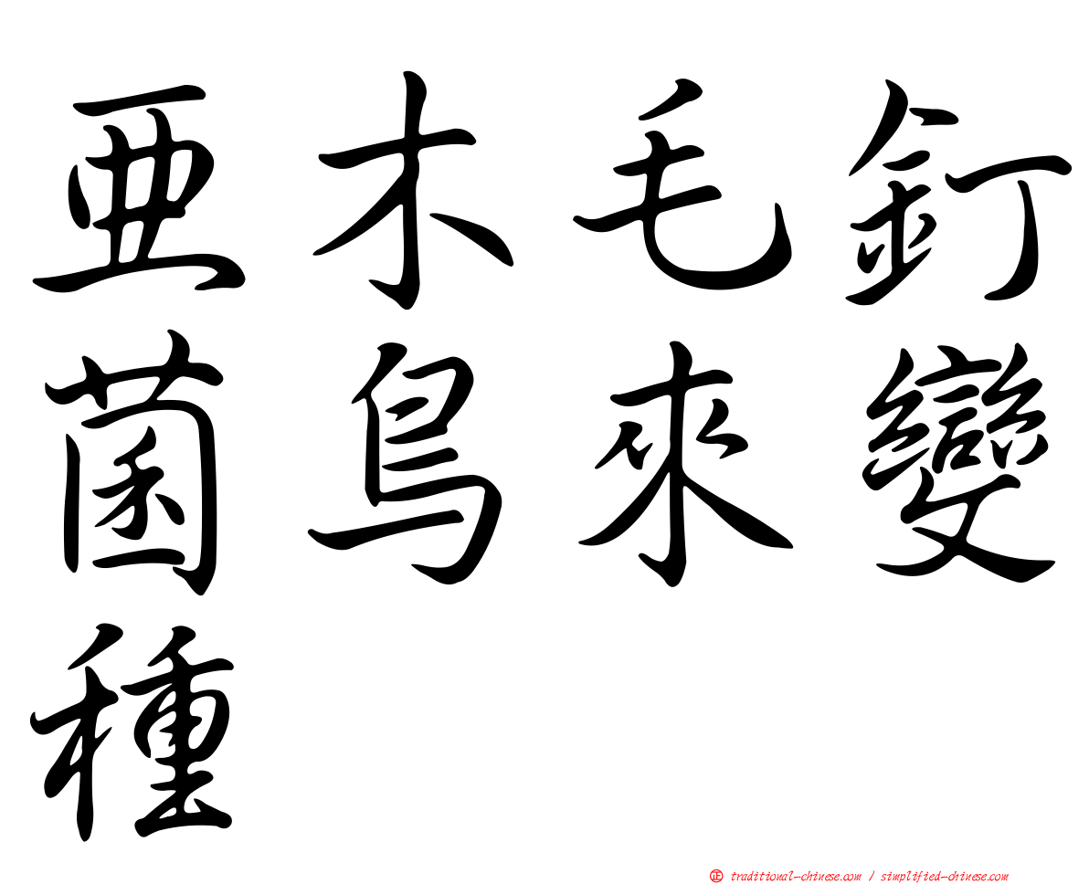 亞木毛釘菌鳥來變種