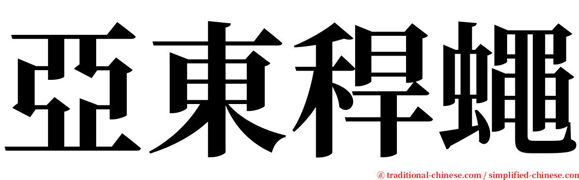 亞東稈蠅 serif font