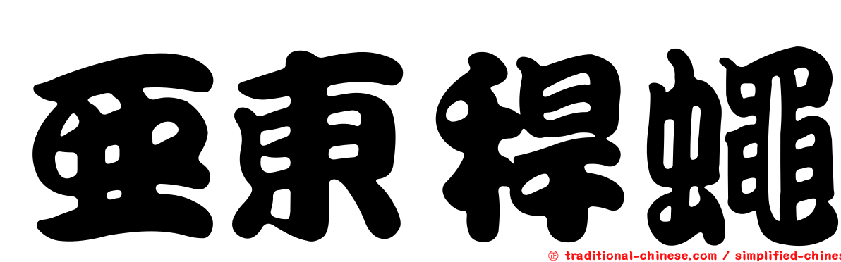 亞東稈蠅