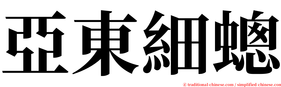 亞東細蟌 serif font