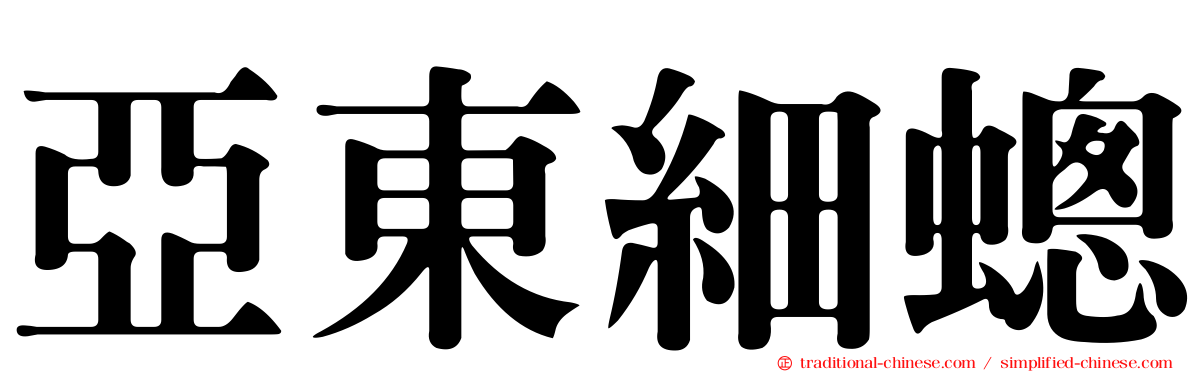 亞東細蟌