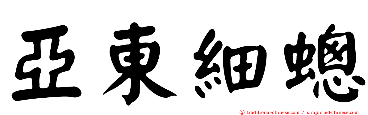 亞東細蟌
