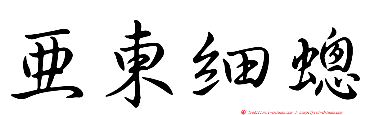 亞東細蟌