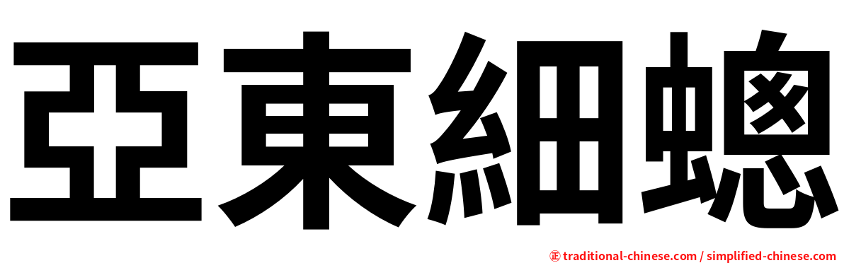 亞東細蟌