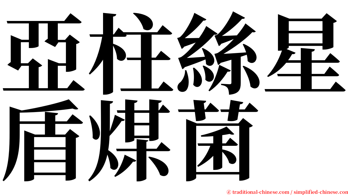 亞柱絲星盾煤菌 serif font
