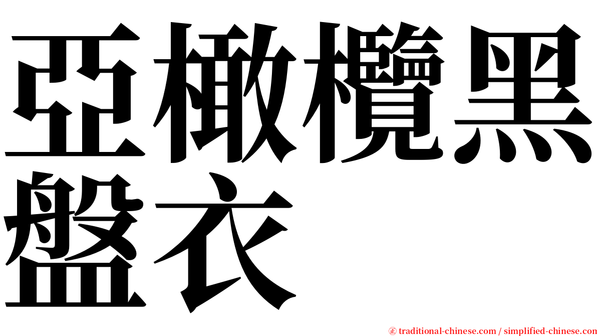 亞橄欖黑盤衣 serif font