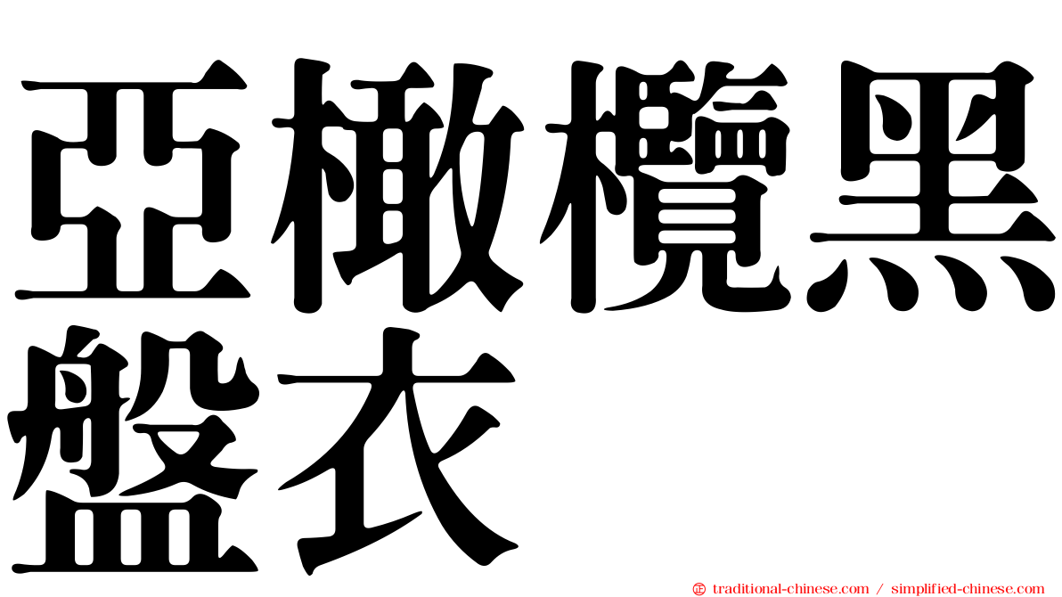 亞橄欖黑盤衣