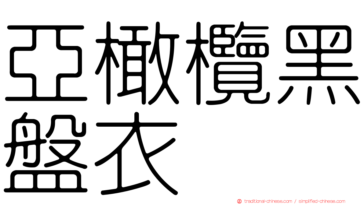 亞橄欖黑盤衣