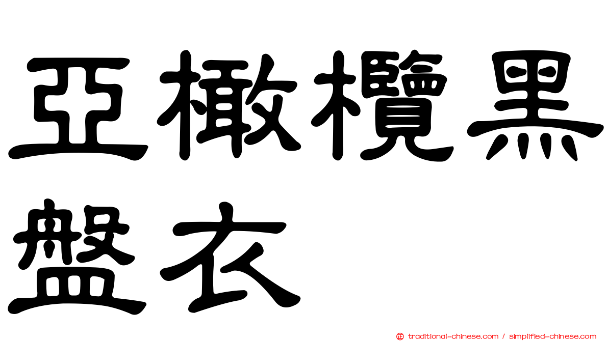 亞橄欖黑盤衣
