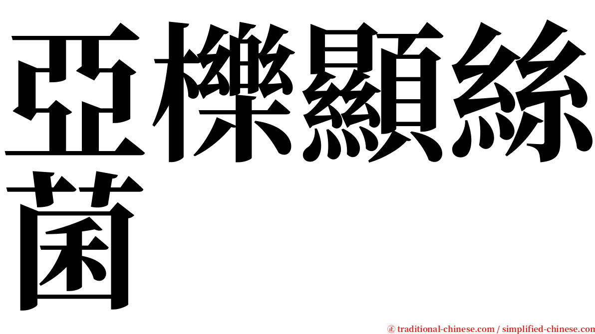 亞櫟顯絲菌 serif font