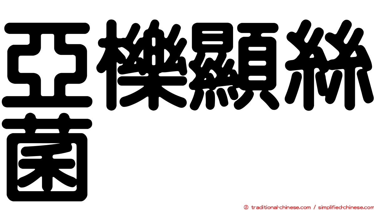 亞櫟顯絲菌