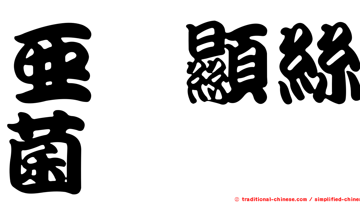亞櫟顯絲菌
