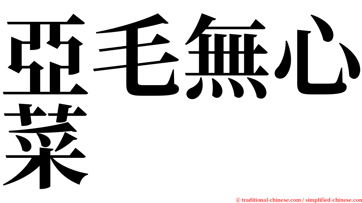 亞毛無心菜 serif font