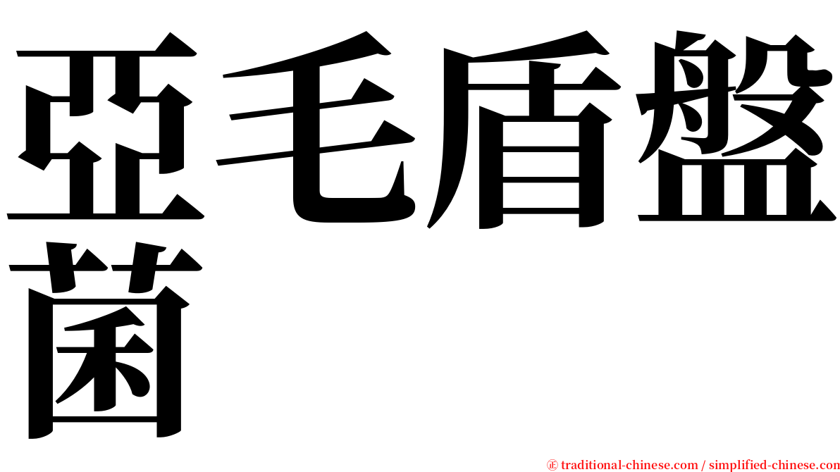 亞毛盾盤菌 serif font