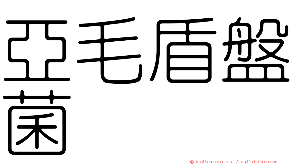 亞毛盾盤菌
