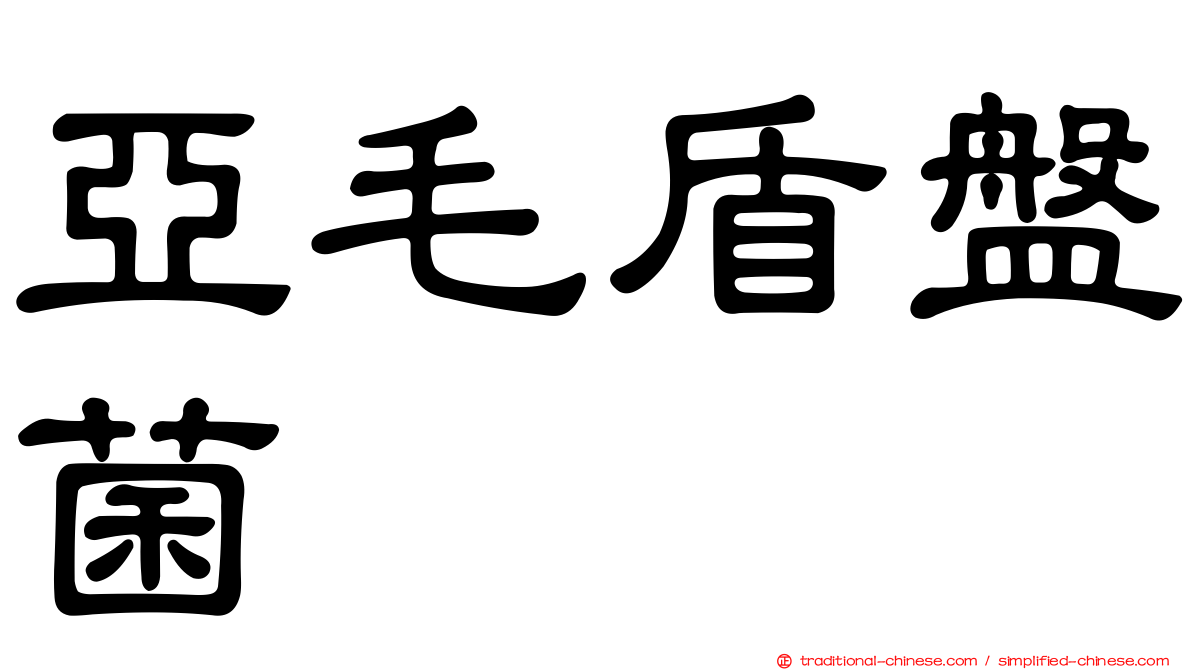 亞毛盾盤菌