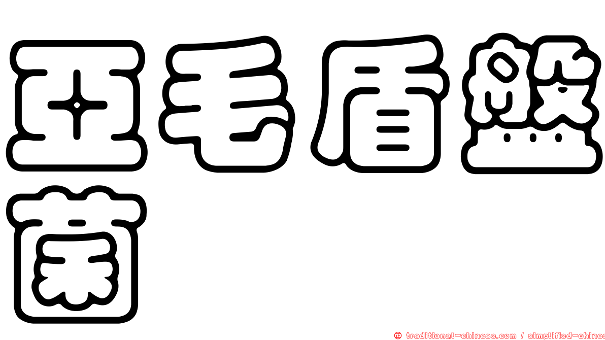 亞毛盾盤菌