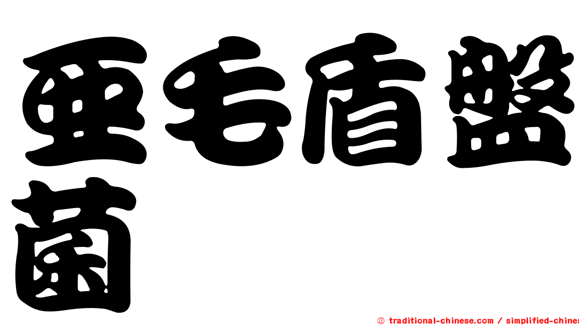 亞毛盾盤菌