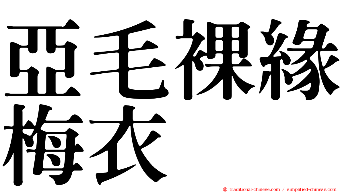 亞毛裸緣梅衣