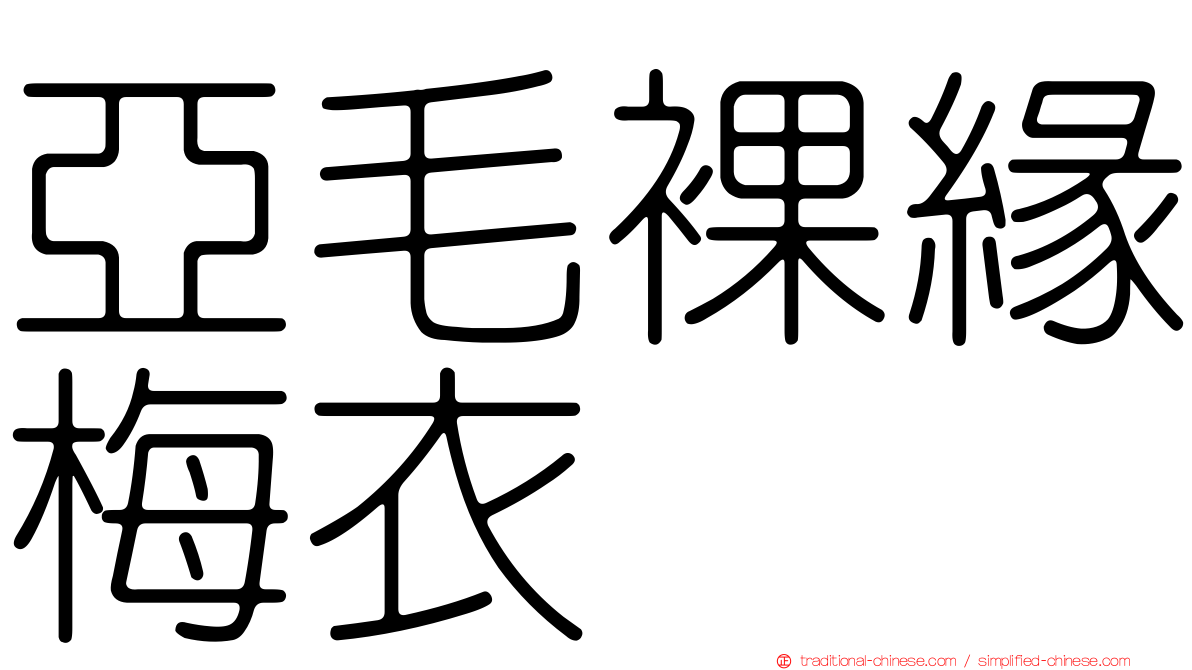 亞毛裸緣梅衣