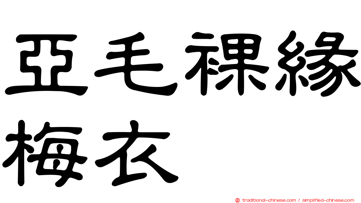 亞毛裸緣梅衣