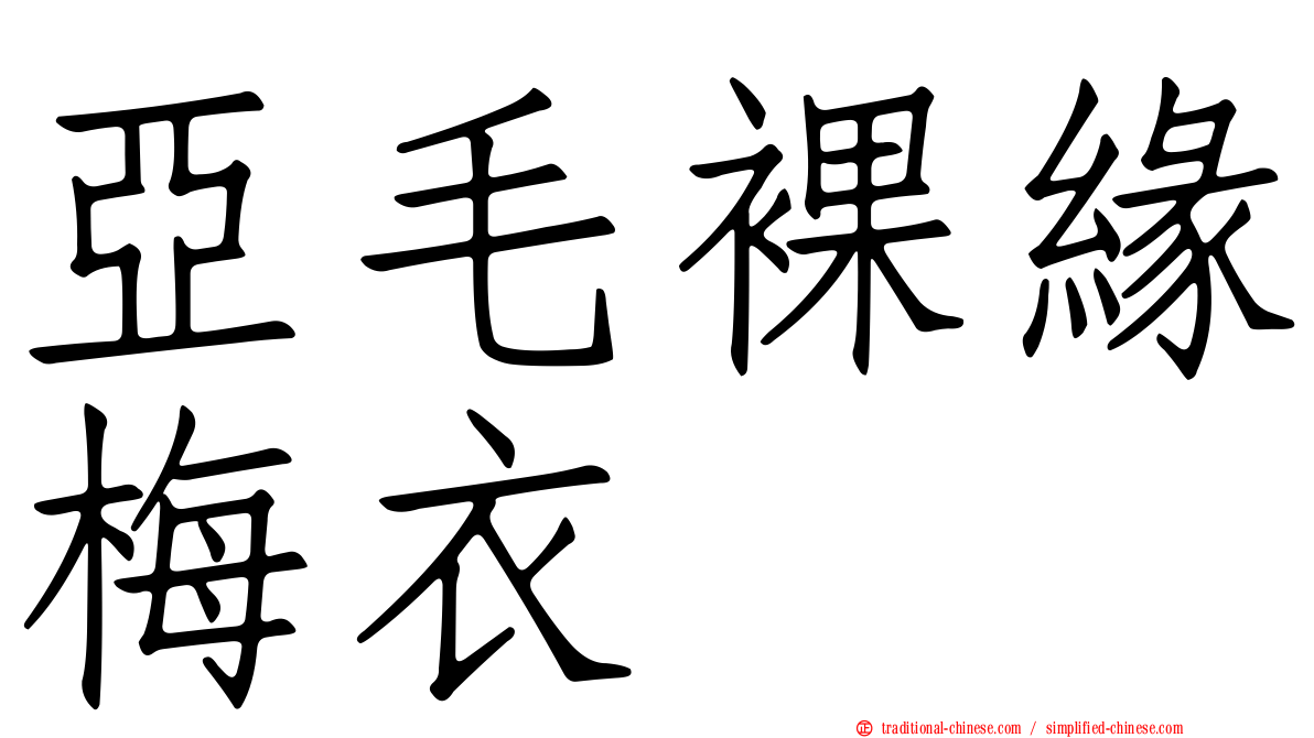 亞毛裸緣梅衣
