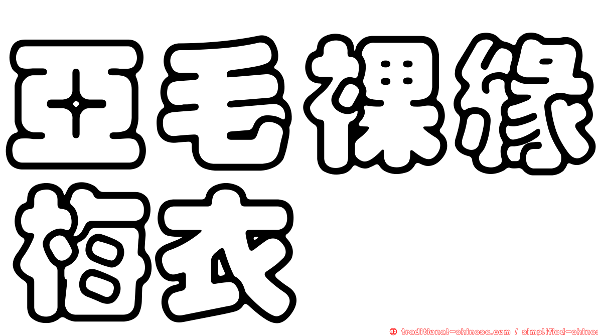 亞毛裸緣梅衣
