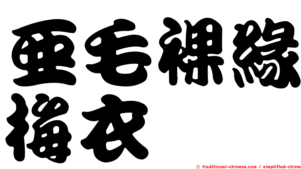 亞毛裸緣梅衣