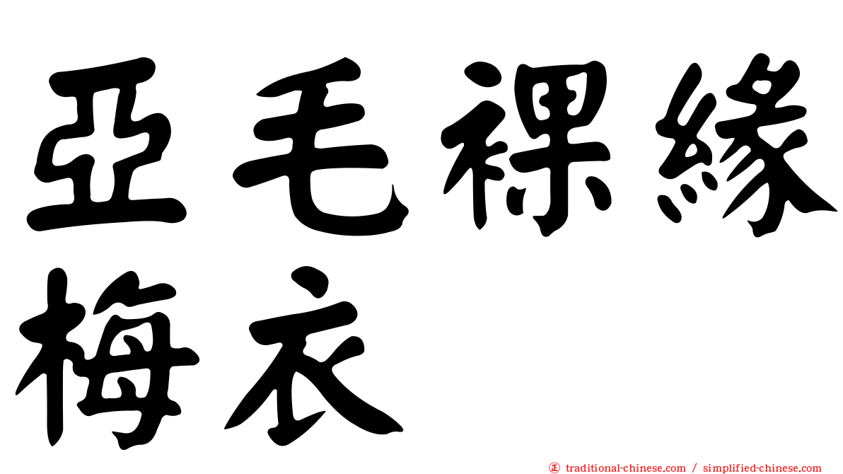 亞毛裸緣梅衣
