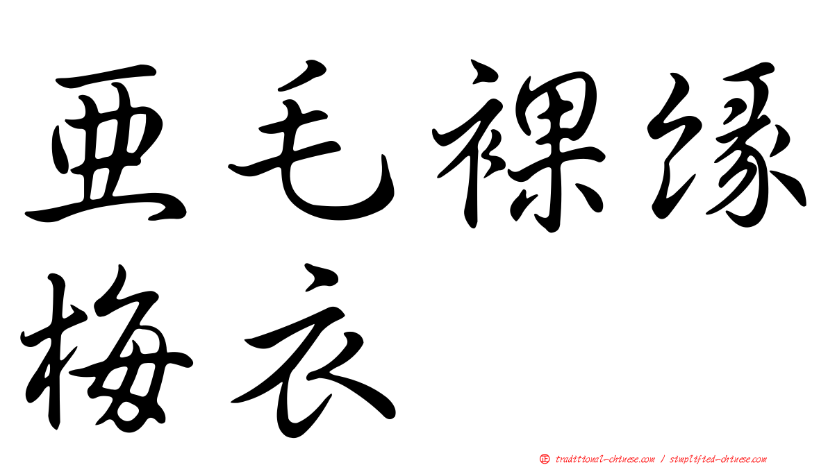亞毛裸緣梅衣