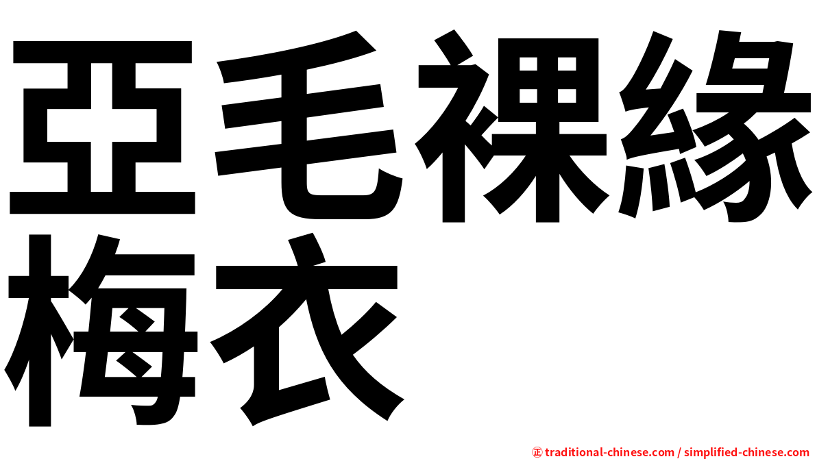亞毛裸緣梅衣