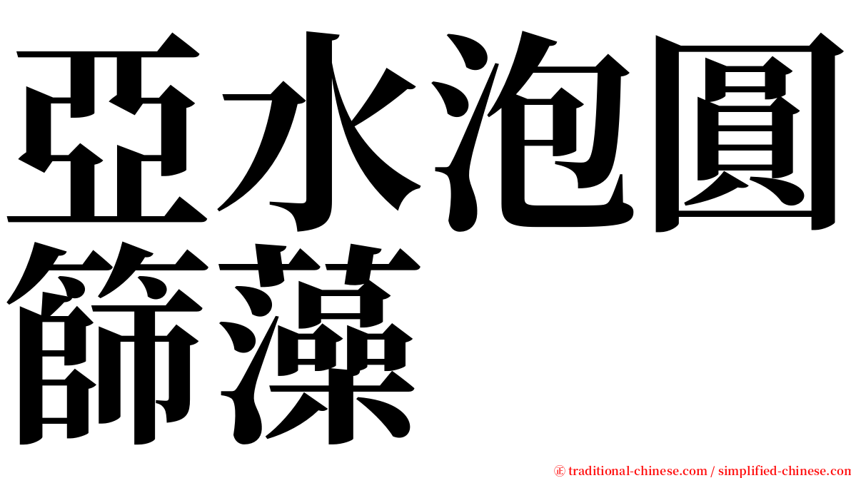 亞水泡圓篩藻 serif font