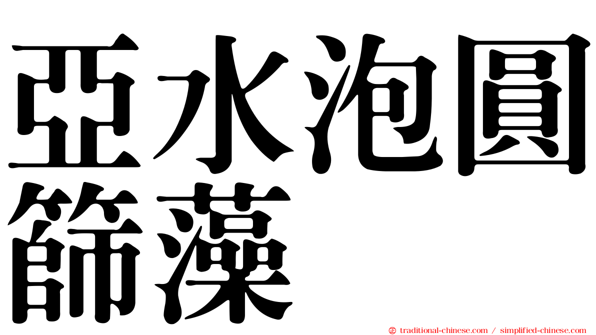 亞水泡圓篩藻