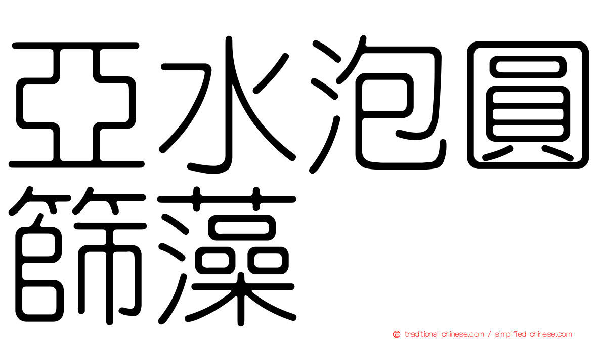 亞水泡圓篩藻