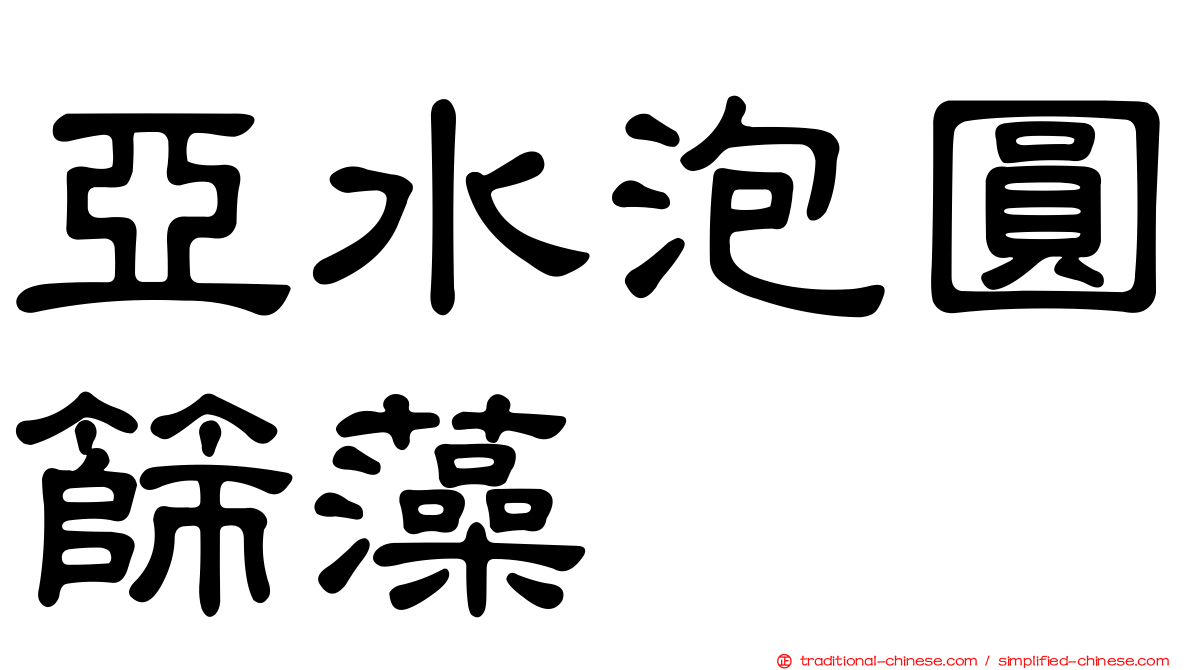 亞水泡圓篩藻