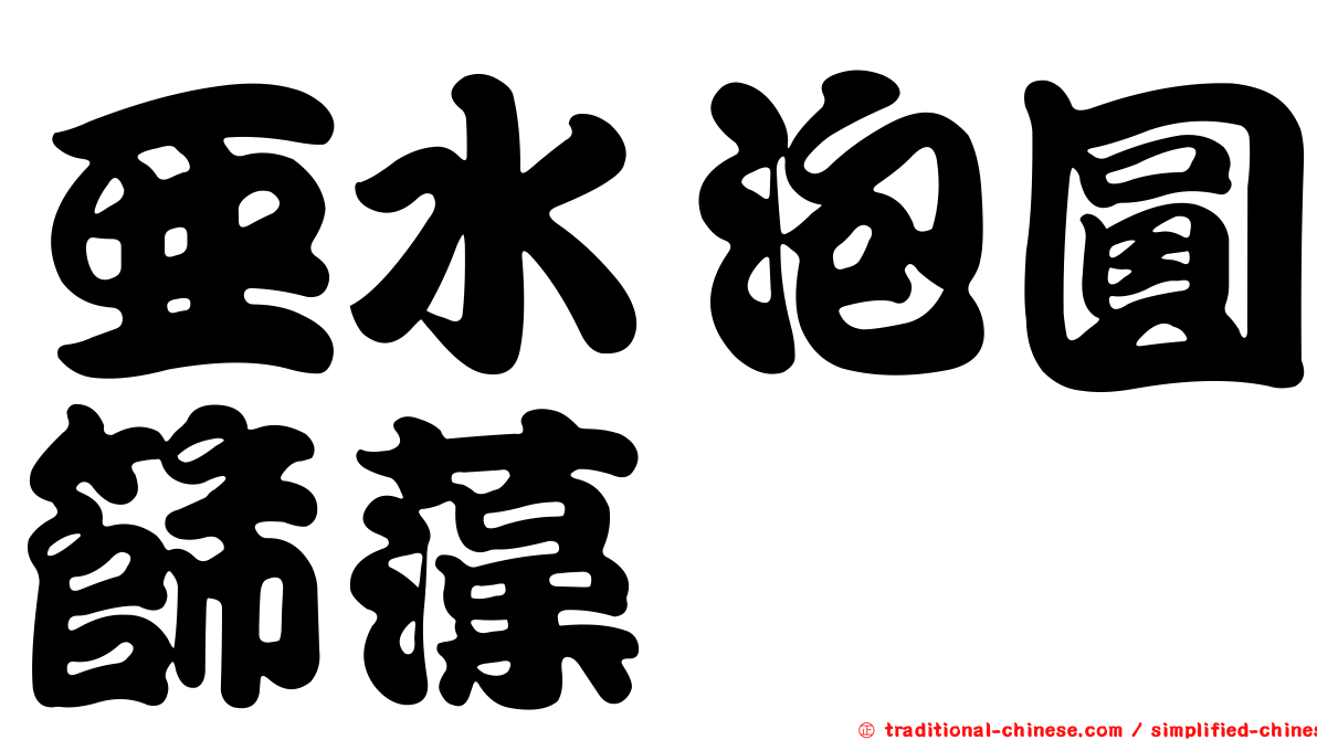 亞水泡圓篩藻