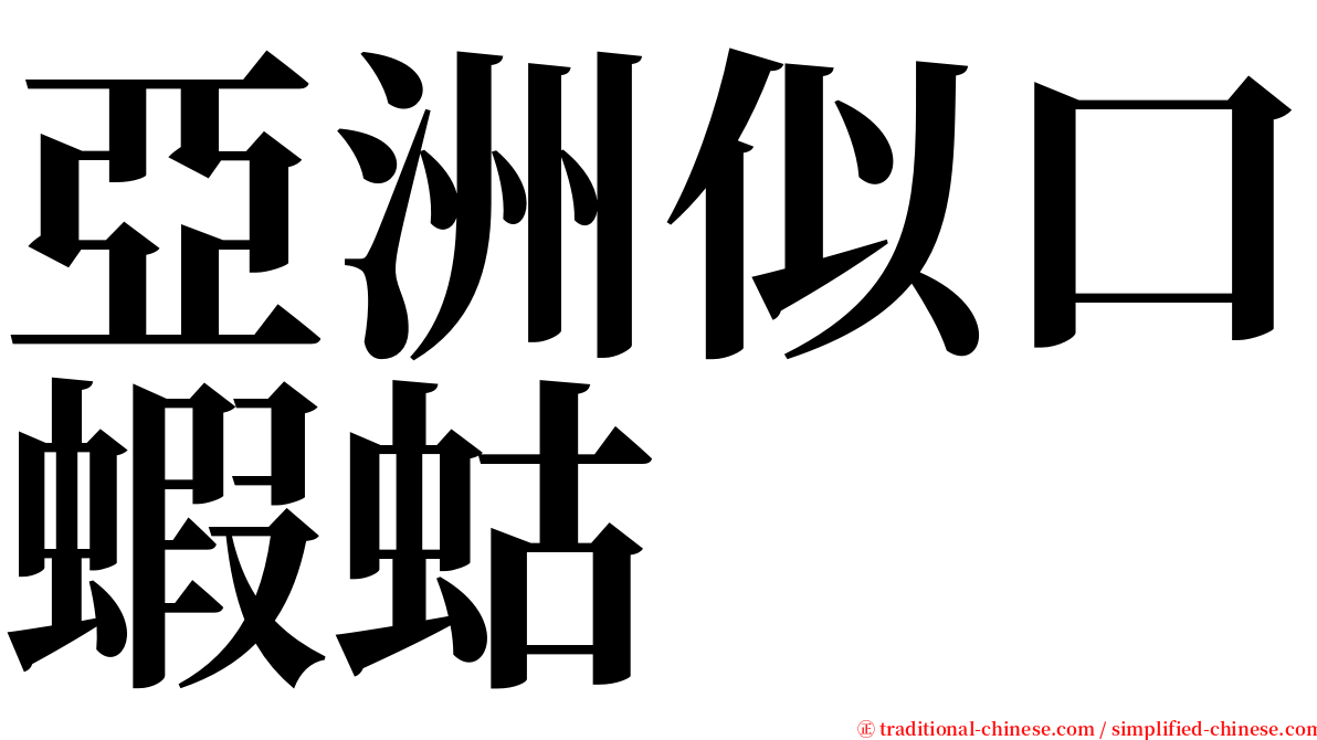 亞洲似口蝦蛄 serif font