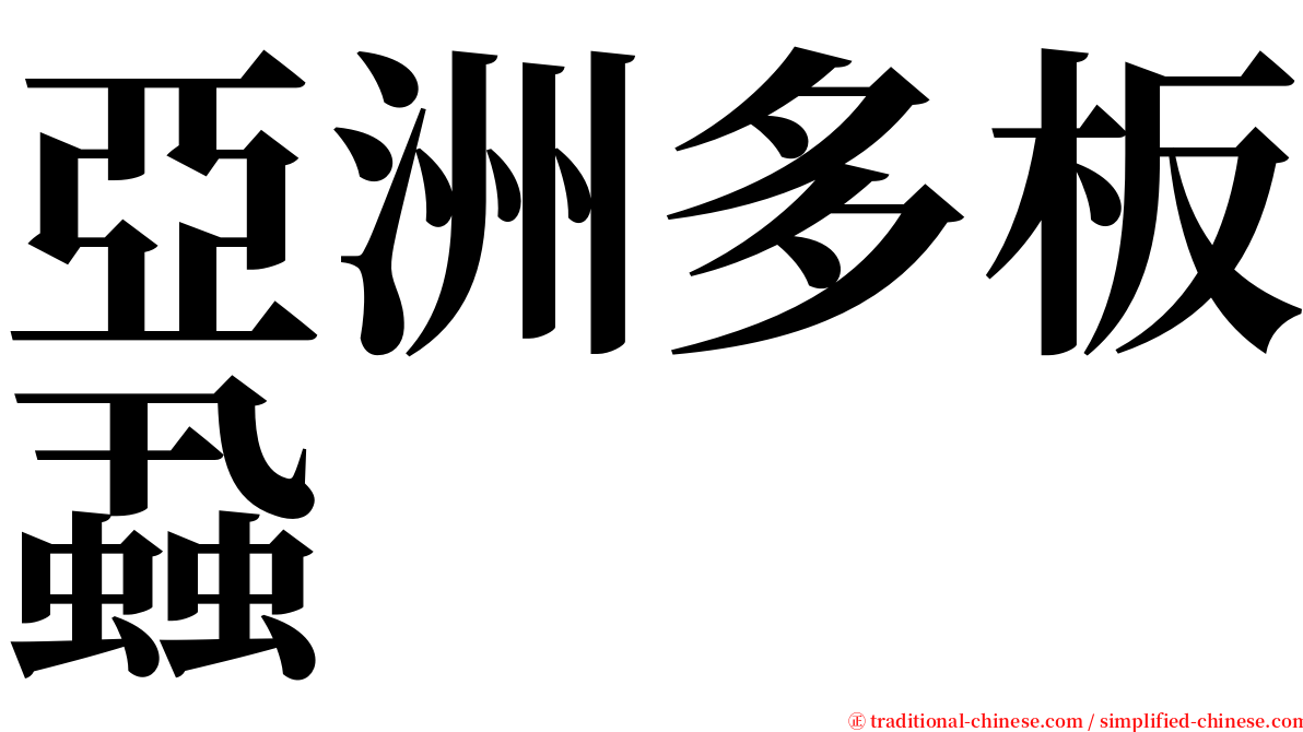 亞洲多板蝨 serif font