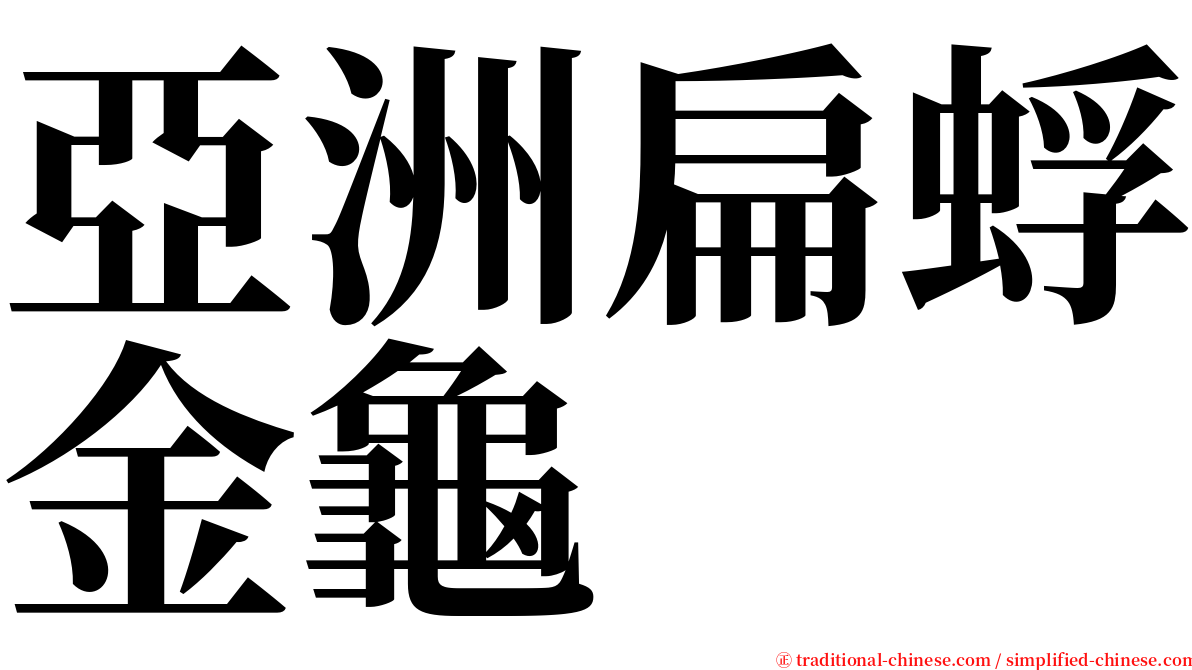 亞洲扁蜉金龜 serif font