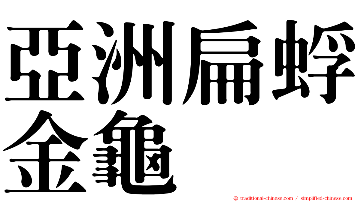 亞洲扁蜉金龜