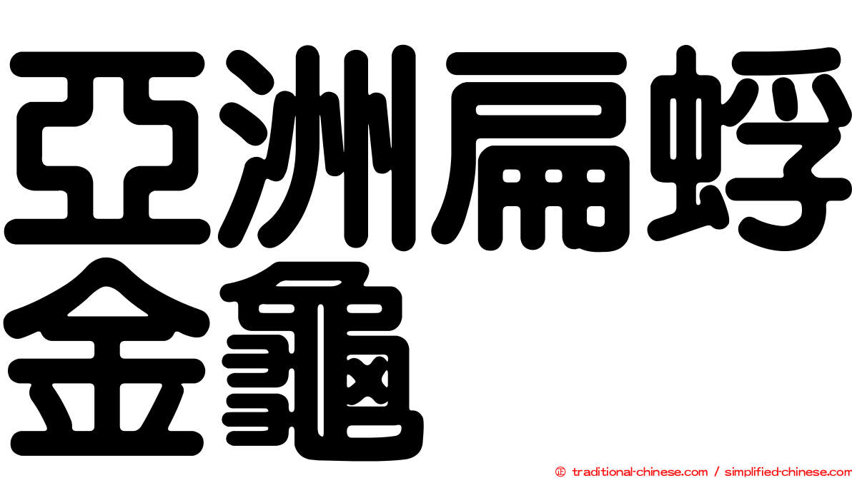 亞洲扁蜉金龜