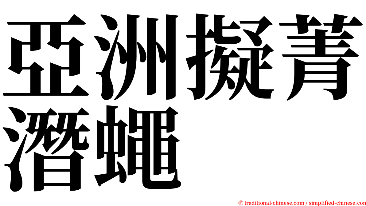 亞洲擬菁潛蠅 serif font