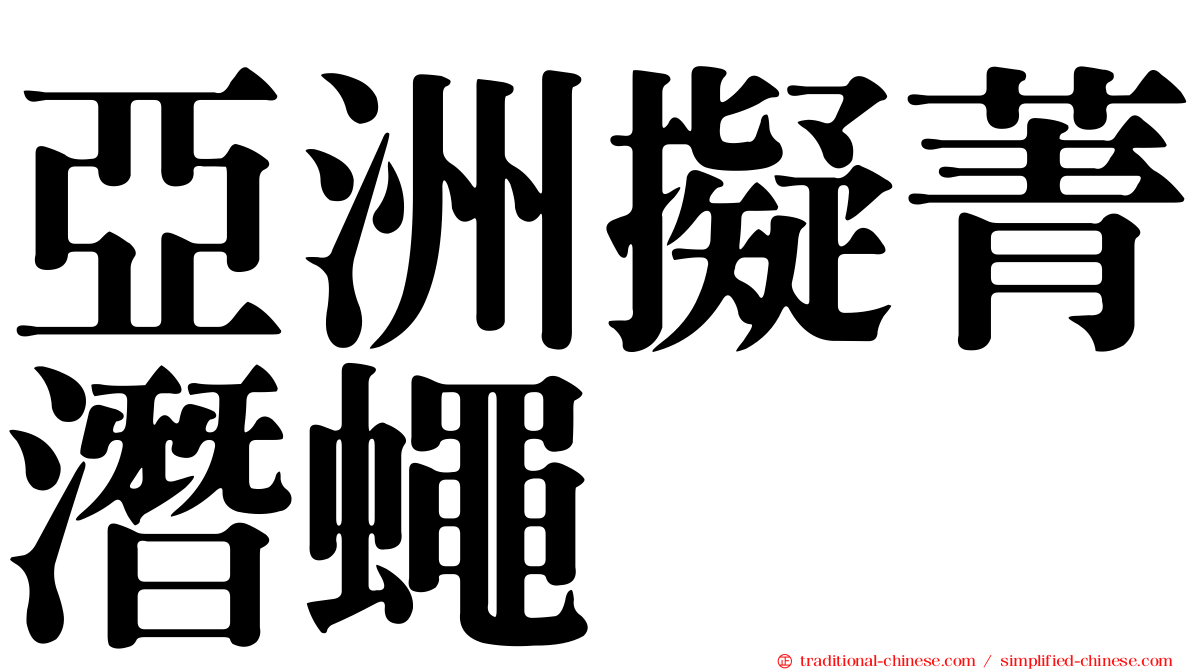 亞洲擬菁潛蠅