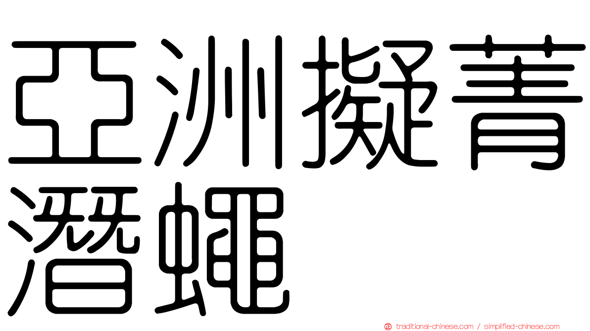 亞洲擬菁潛蠅
